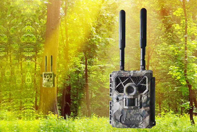 野生動(dòng)物抓拍專(zhuān)用紅外攝像機(jī)