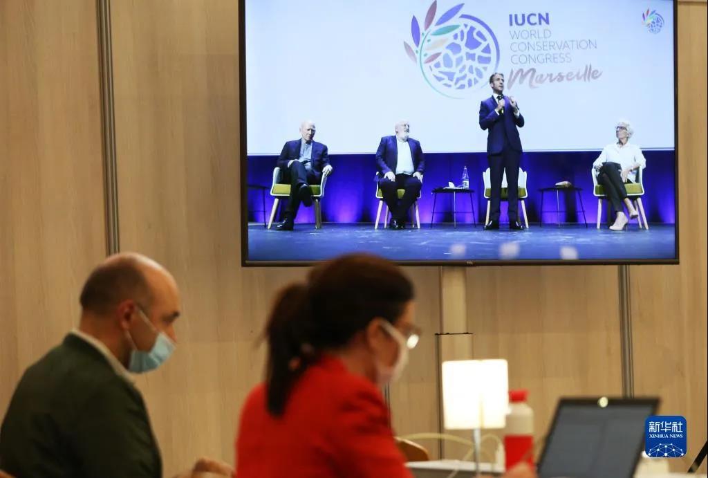 4750622f330c8e4b607728a7eb1a2036.jpg 003.jpg