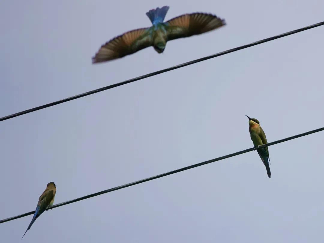 e4cbb1ccbf28a7ef7d369616864084b0.jpg 002.jpg