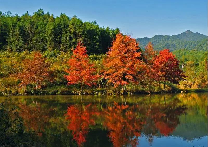 6a5041af5712ae9f59ed4ad82d7162b0.jpg 005.jpg