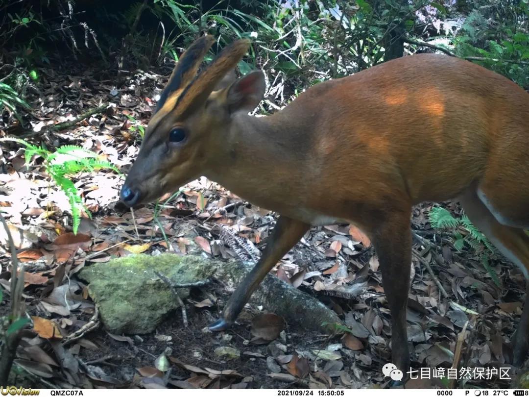 fa2ee2aad84880406dca59c01cfcc391.jpg 013.jpg