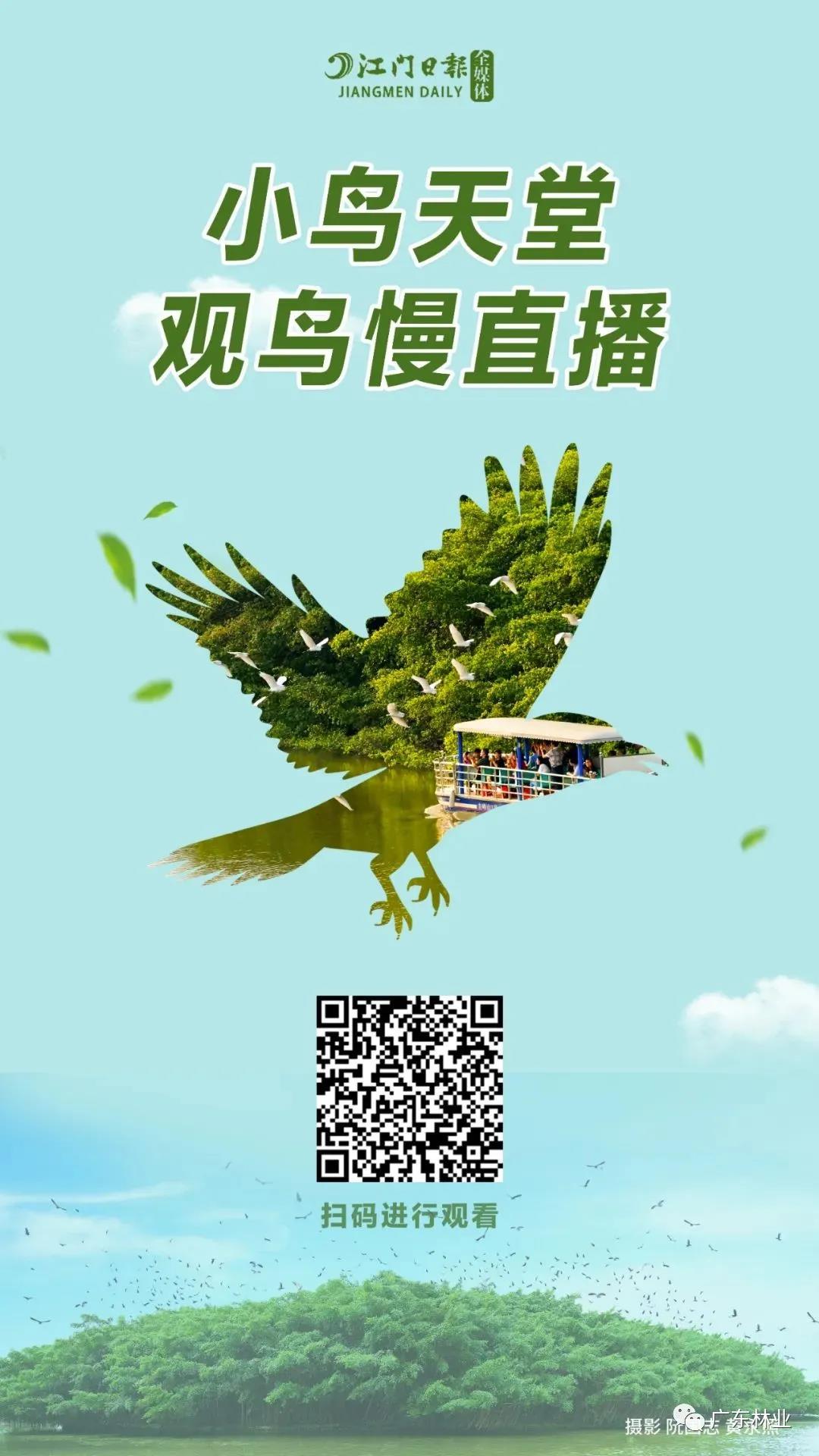 b9390413527ee5b4b666126553c03b65.jpg 005.jpg