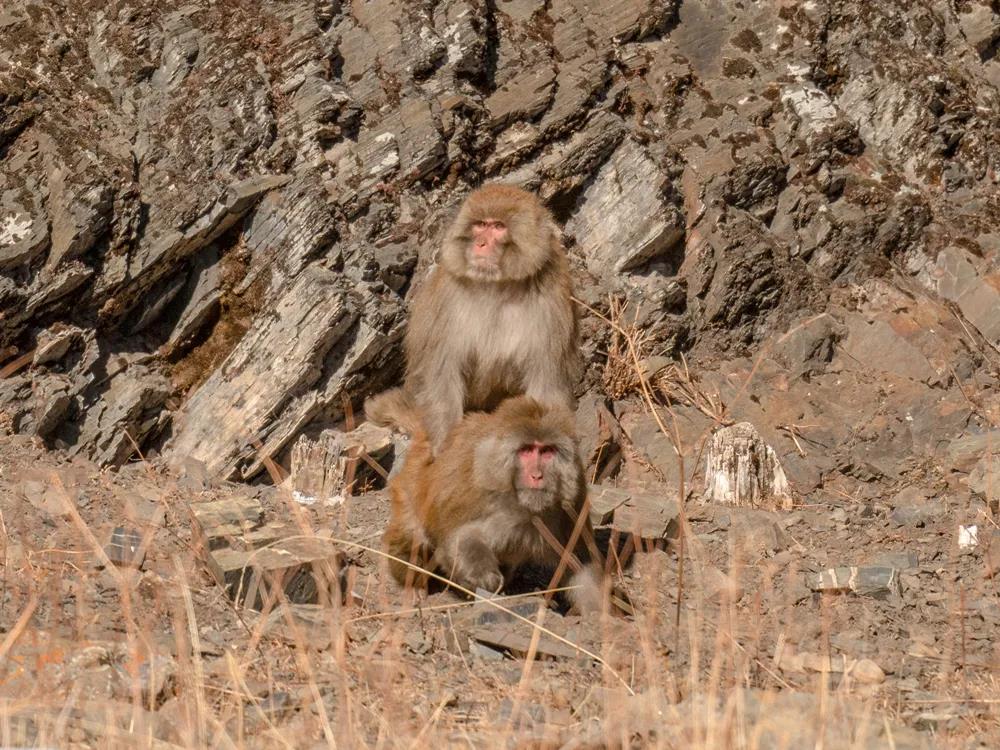 8ff9924db4cb84d18ff270a8f806cf49.jpg 003.jpg