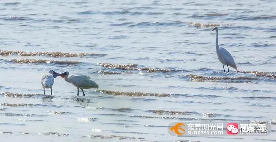 bec1c8f7921d1284f6da7dc398919de5.jpg 004.jpg