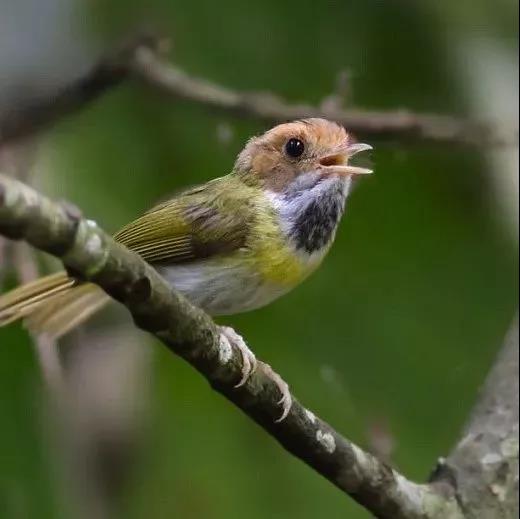 ba77b3bc314a62ac1c931c1ea516a839.jpg 003.jpg