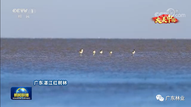 f443bcdc7182e4cdb7e76171dc6994ee.png 003.png